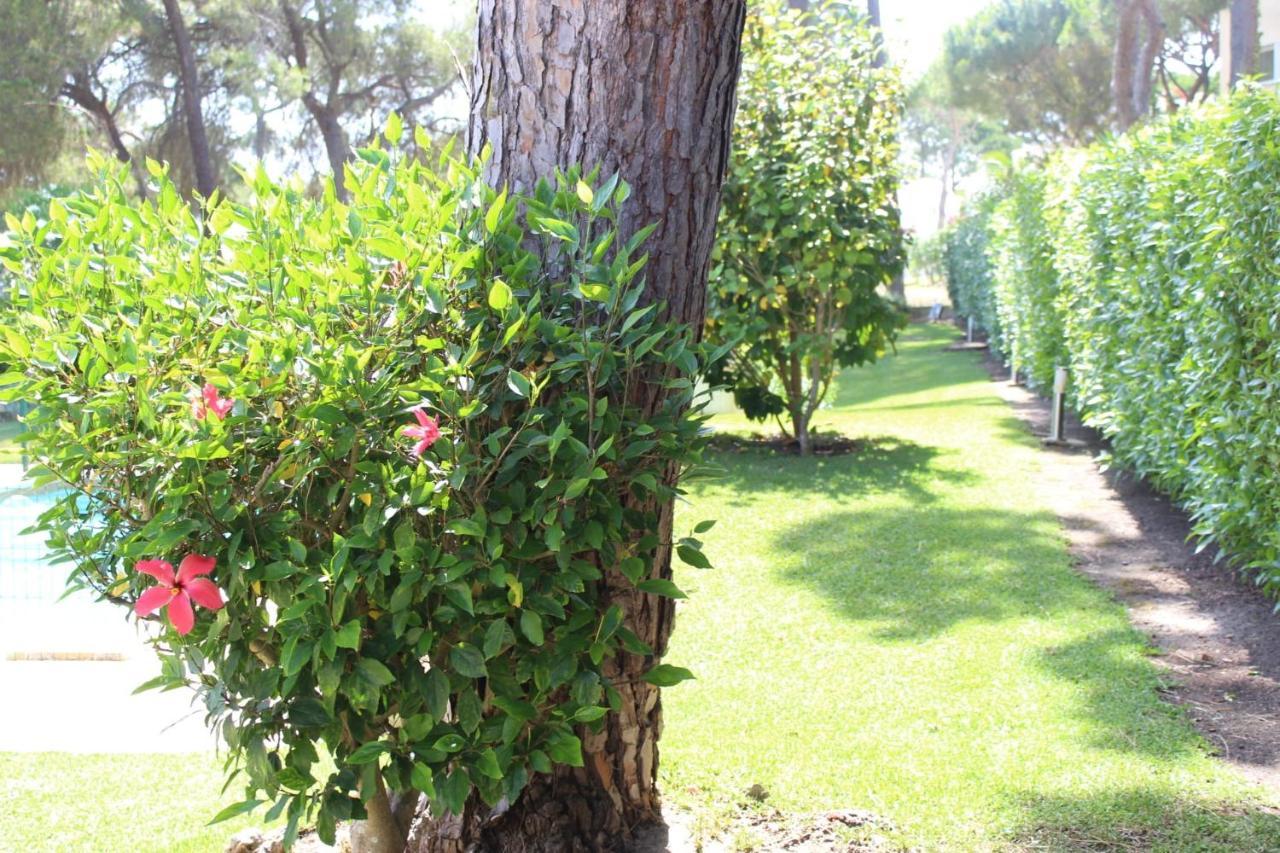 The Pinewood Villa Vilamoura Luaran gambar