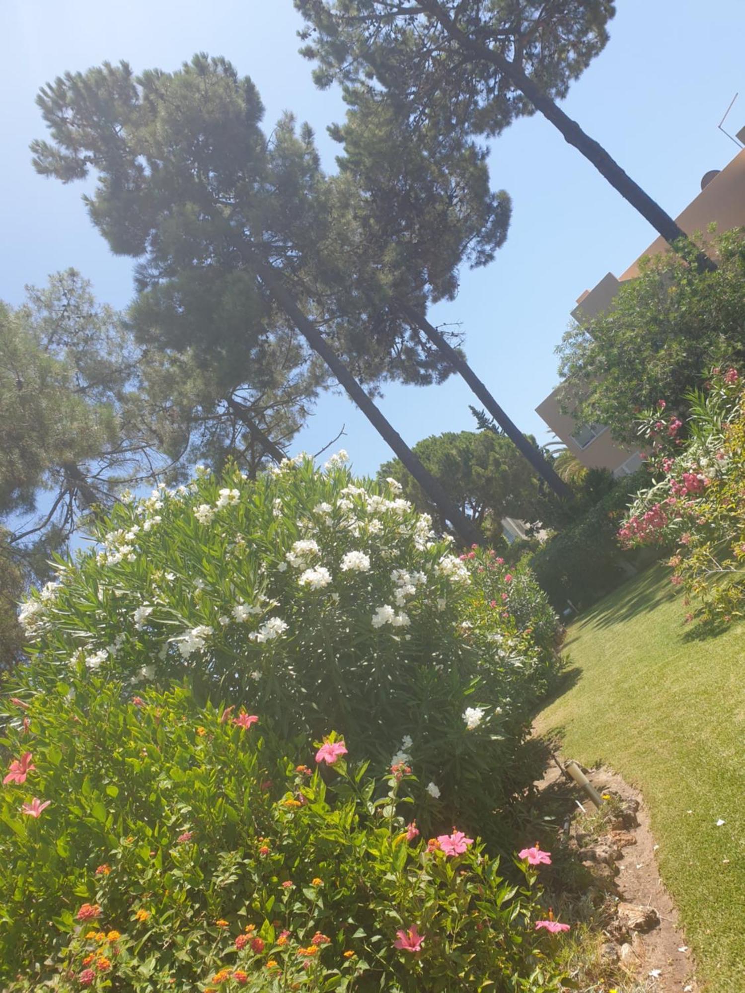 The Pinewood Villa Vilamoura Bilik gambar